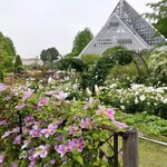 レストラン ハニーサックル - 