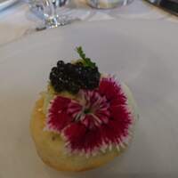 ザ・レギャン・トーキョー - 