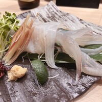 鮨 からす 十三店 -  鮨 からす 十三店 -