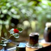 懐石 古都 - カウンターが絶対の僕ですが、テーブル席にだけ、もれなくくっついてくる 風景。 坪庭、箱庭よりもコンパクトなほんの小さな空間。 料理がサーブされるまで、こんな風景をぽかんと見てすごすのも悪くないです。