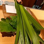 銀座 しのはら - 柏の葉と菖蒲