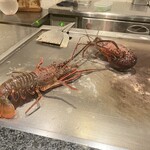 神楽坂 鉄板焼 向日葵 - 