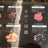 Shangri-La's secret ROPPONGI - きのこの説明図鑑