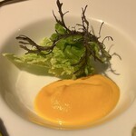 月夜野庭 銀の月 - 