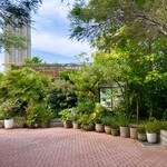 Little Darling Coffee Roasters - 