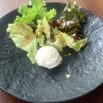 オーシャン カシータ - 本日のサラダ