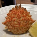 酒肴場 屯 - 青森県陸奥湾産のトゲクリガニ