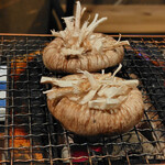 張海 - 椎茸七輪焼き中