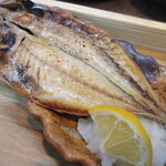 Hitotoki - 今日の焼魚はアジ