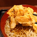 Echigo Soba - 