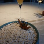 Sorn - モトギス - ターメリック、帆立、ミン・アラリア、カレーペースト