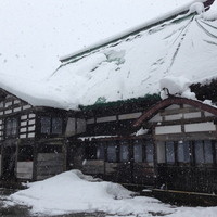 欅苑 - 大雪の中やってきました〜