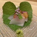 銀座 海味 - イサキ