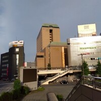 中国料理 南園 京王プラザホテル八王子店 - 京王プラザホテル八王子