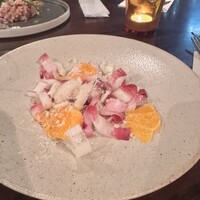 coci - 