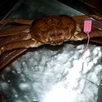 網元本館 - 