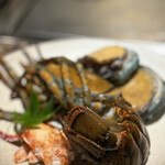 名駅 鉄板焼き 森本Ｘ Premium - 