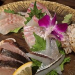 Kaisen Ryouri Izakaya Shou - 