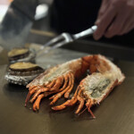 名駅 鉄板焼き 森本Ｘ Premium - 