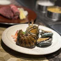 名駅 鉄板焼き 森本Ｘ Premium - 