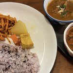 初台スパイス食堂 和魂印才たんどーる - 202404