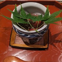 焼鳥 ひら野 - トマトの蜜煮