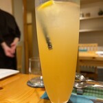 メルモーゾ ダ ドロカワ - 