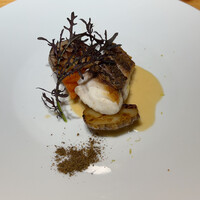 メルモーゾ ダ ドロカワ - 