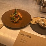 L'IGNIS - 