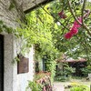 Saikai - きれいな玄関とお庭
                