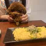 Okonomiyaki Wagokoro - 