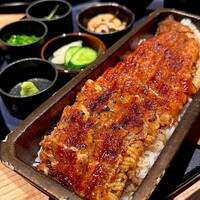 うなぎ四代目菊川 ヒルトンプラザウエスト大阪店 - 