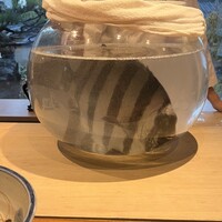 日本料理 別府 廣門 - 