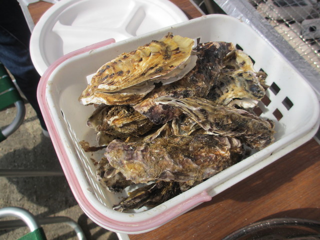 閉店 かき小屋 国営昭和記念公園 立川北 オイスターバー 食べログ 閉店 かき小屋 国営昭和記念公園 立川北 オイスターバー 食べログ