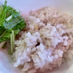 黄金の塩らぁ麺 ドゥエイタリアン - リゾット用美人玄米入りご飯