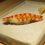 鮨 多門 - 天草の車海老。