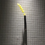 鮨 多門 - 一輪差しが良いアクセントに。