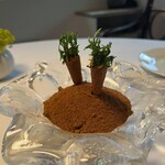 エルミタージュ ドゥ タムラ - 人参のコルネ