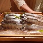 橦木町 しみず - アマゴ