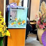 Kafe Ando Dainingu Ba Kingyoutei - 金魚の水槽とお花と番傘…な店内