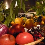 フォックスツリー