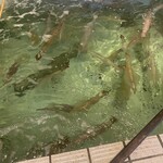 魚処　わき - 