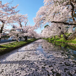 ル・ショコラ - 外壕の花筏と快晴で満開の桜