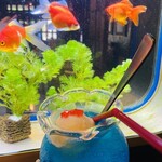 金魚カフェ - 