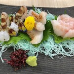 旬菜和味 - お造り盛り合わせ(車海老、金目鯛炙り、キジハタ)