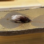 鮨　まつ本 - 生トリ貝