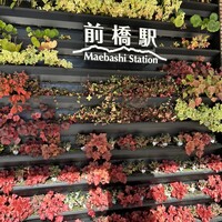 SHIROIYA the RESTAURANT - 