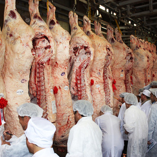 精肉卸業肉の福よし直営