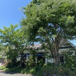 ペーパームーン - 