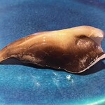 鮨 おにかい×2 - 